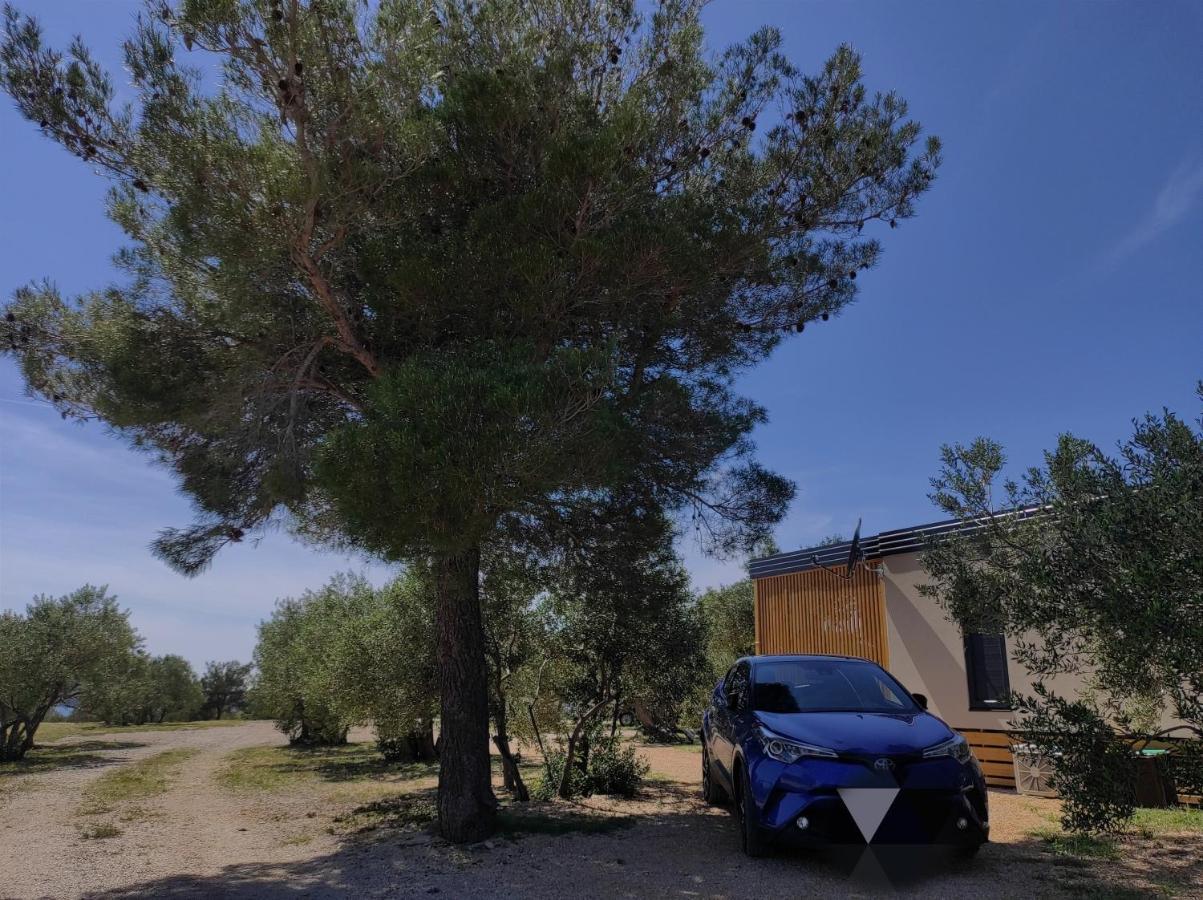דראגה Zen Zone Premium Mobile Home מראה חיצוני תמונה