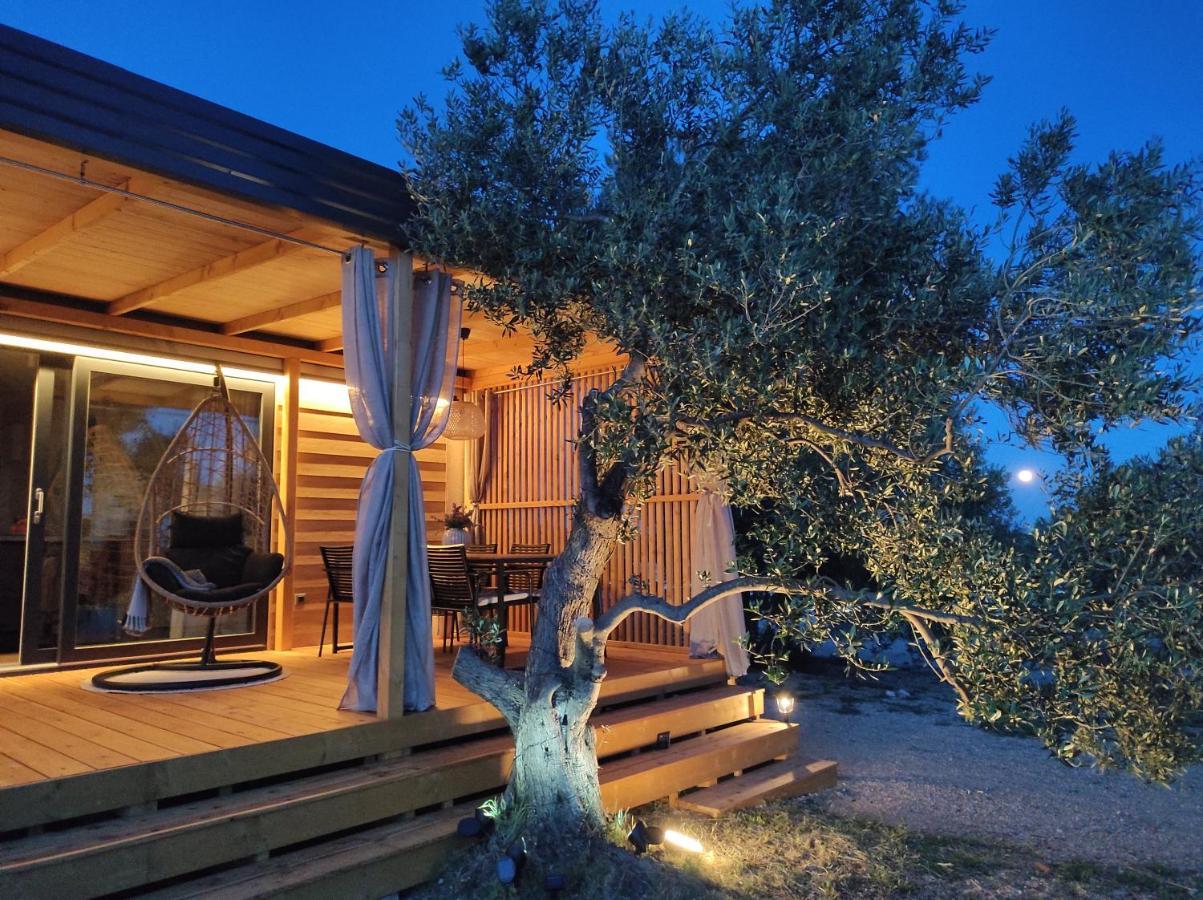 דראגה Zen Zone Premium Mobile Home מראה חיצוני תמונה